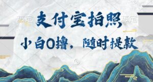 小白0撸项目，支付宝拍照做任务，随时可提款-网创资源
