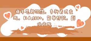 薅羊毛新玩法，多种方式变现，日入200+，简单好做，副业变现-网创资源