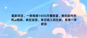 最新项目，一条视频1600万播放量，教你如何利用 ai视频，疯狂变现，简单一学就会-网创资源