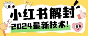 2024最新小红书账号封禁解封方法，无限释放手机号【揭秘】-网创资源