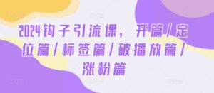 2024钩子引流课，开篇/定位篇/标签篇/破播放篇/涨粉篇-网创资源