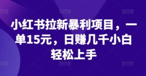 小红书拉新暴利项目，一单15元，日赚几千小白轻松上手【揭秘】-网创资源