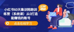 小红书60天集训陪跑训练营（系统课）从0打造能赚钱的账号-网创资源