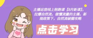 主播运营线上陪跑课【8月新课】，拉爆自然流，做懂流量的主播，新规政策下，自然流破圈攻略-网创资源