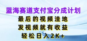 蓝海赛道支付宝分成计划，最后的视频洼地，发视频就有收益，日入2K+-网创资源