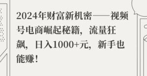 2024年财富新机密——视频号电商崛起秘籍，流量狂飙，日入1k元，新手也能赚-网创资源