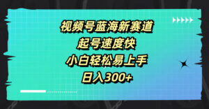 视频号蓝海新赛道，起号速度快，小白轻松易上手，日入3张-网创资源