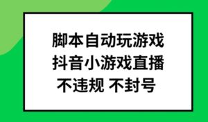 脚本自动玩游戏，抖音小游戏直播，不违规不封号可批量做【揭秘】-网创资源