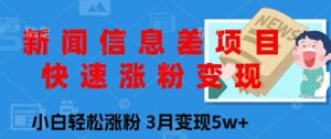 新闻信息差项目，快速涨粉变现，小白轻松涨粉，3月变现5w+-网创资源