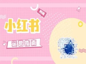 小红书运营指南，没有套路，全是经验-网创资源