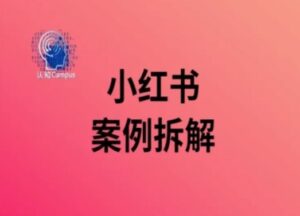 小红书案例拆解，深度解读小红书40万粉-网创资源