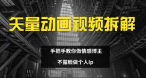 矢量动画视频全拆解 手把手教你做情感博主 不露脸做个人ip【揭秘】-网创资源