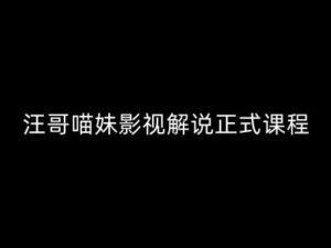 汪哥影视解说正式课程：剪映/PR教学/视解说剪辑5大黄金法则/全流程剪辑7把利器等等-网创资源