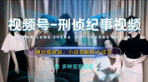 利用刑侦纪实视频，赚视频号分成计划收益，操作简单，新手小白轻松月入过万【揭秘】-网创资源