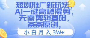 短剧推广新玩法，AI一键高燃混剪，无需剪辑基础，条条原创，小白月入3W+【揭秘】-网创资源