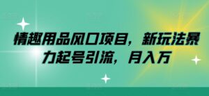 情趣用品风口项目，新玩法暴力起号引流，月入万-网创资源