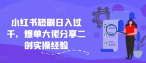 小红书短剧日入过千，爆单大佬分享二创实操经验-网创资源
