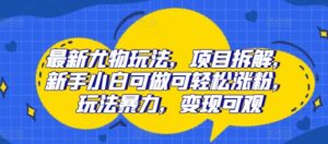 最新尤物玩法，项目拆解，新手小白可做可轻松涨粉，玩法暴力，变现可观-网创资源