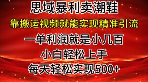 公域卖潮牌鞋子爆利游戏玩法，新手快速上手，日赚多张，轻松，只靠搬运视频就可精准引流方法-网创资源