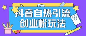抖音吸粉自主创业粉自然游戏玩法日引200 精准粉-网创资源