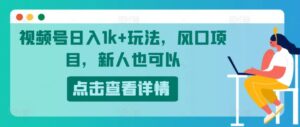 微信视频号日入1k 游戏玩法，蓝海项目，新手还可以-网创资源