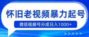 复古小视频暴力行为养号，视频号分为日入1k-网创资源