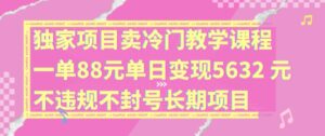 独家代理新项目卖小众教学内容一单88元单日转现5632元违反规定防封号长期项目【揭密】-网创资源