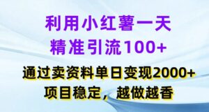 运用小红书的一天精准引流方法100 ，根据卖项目单日转现2k ，新项目平稳，越干越香【揭密】-网创资源