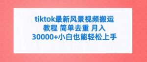 tiktok全新景色视频搬运实例教程 简易去重复 月入3W 新手也可以快速上手【揭密】-网创资源