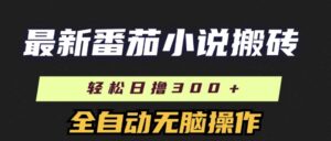 全新番茄小说打金，日撸300 ，自动式实际操作，可引流矩阵变大-网创资源