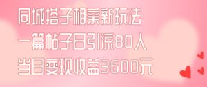 同城搭子相亲新玩法一篇帖子引流80人当日变现3600元(项目教程+实操教程)【揭秘】-网创资源