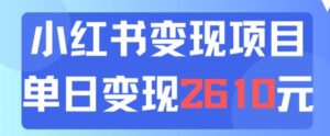 利用小红书卖中考资料一天引流150+变现2600元-网创资源