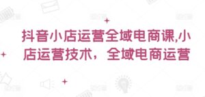 抖音小店运营全域电商课，​小店运营技术，全域电商运营-网创资源