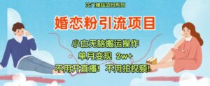 小红书的婚恋交友粉引流方法，无需做直播，无需拍摄视频，不需要做交货【揭密】-网创资源