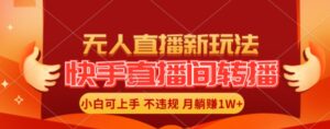 快手直播平台自动式直播游戏玩法，全人力不用干涉，新手月入1W 真正实现【揭密】-网创资源