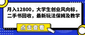 月入12800，学生创业方向标，二手书回收，全新游戏玩法家庭保姆及教学-网创资源