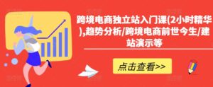 跨境电商独立站入门课(2小时精华),趋势分析/跨境电商前世今生/建站演示等-网创资源