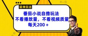 番茄小说自撸游戏玩法，不要看播放率，不要看视频清晰度，每日200 【揭密】-网创资源