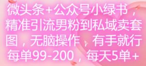 头条 微信公众号小绿书，精准引流方法粉丝到公域卖套图，没脑子实际操作，有手就行，每一单99-200，每日5单-网创资源