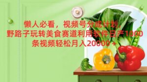 懒人神器必读，微信视频号分为方案，歪门邪道轻松玩特色美食跑道利用计算机，日产100条短视频-网创资源