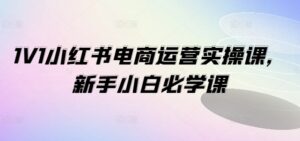 1V1小红书的电商运营实操课，新手入门必会课-网创资源