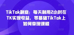 TikTok第二职业：每日运用2个小时在TK实现收益，零基础TikTok上如何盈利课程内容-网创资源