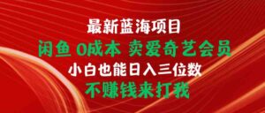 淘宝闲鱼VIP，0成本费，当日开单 日入1.5k，不断回购-网创资源