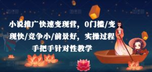 小说推广快速变现营，0门槛/变现快/竞争小/前景好，实操过程手把手针对性教学-网创资源