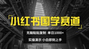 小红书的国学经典跑道，没脑子粘贴复制，单日1K，实际操作演试，新手立刻入门【揭密】-网创资源