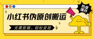 小红书的原创文章运送，不用视频剪辑，轻轻松松转现-网创资源