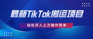 史上最牛简易，运送TikTok厉史，去重复后轻轻松松月赚万余元-网创资源