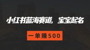 小红书的瀚海跑道，宝宝取名，一单赚500-网创资源