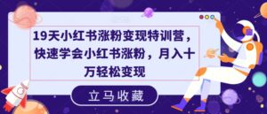 19天小红书涨粉变现特训营，快速学会小红书涨粉，月入十万轻松变现-网创资源