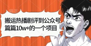 搬运热播剧评到公众号，篇篇10w的一个项目-网创资源